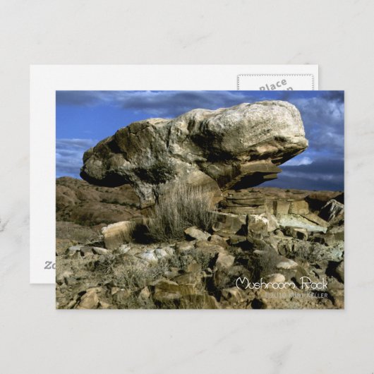 paddenstoel Rock Briefkaart (Voorkant / Achterkant)