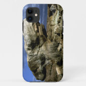 paddenstoel Rock Case-Mate iPhone Case (Achterkant)