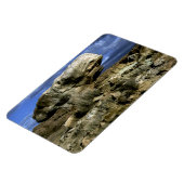 paddenstoel Rock Magneet (Linkerzijde)