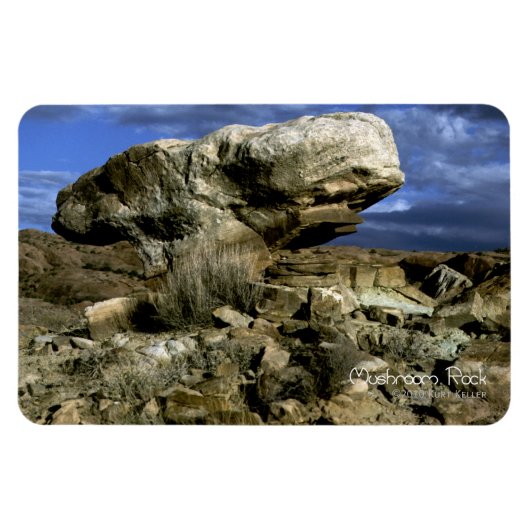 paddenstoel Rock Magneet (Horizontaal)