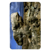 paddenstoel Rock Magneet (Verticaal)