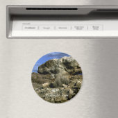 paddenstoel Rock Magneet (Insitu (Vaatwasser))