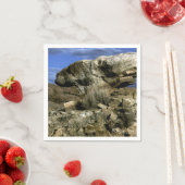 paddenstoel Rock Servet (Insitu)