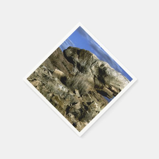 paddenstoel Rock Servet (Hoek)