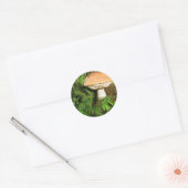 paddenstoel ronde sticker (Envelop)
