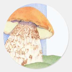 paddenstoel ronde sticker