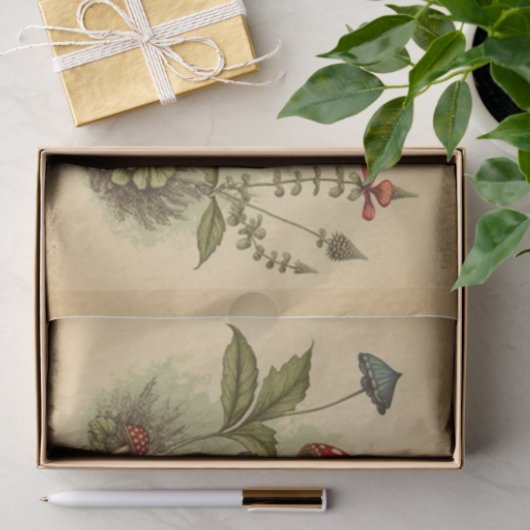 paddenstoel rood tot ontkoppeling tissuepapier (Geschenk)