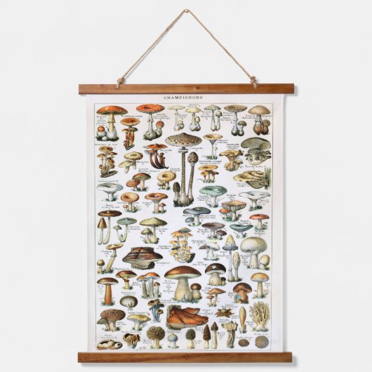  paddenstoel — Schudpaneel Hangend Wandkleed (Voorkant)