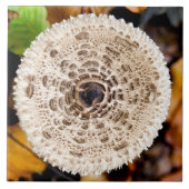 paddenstoel tegeltje (Voorkant)