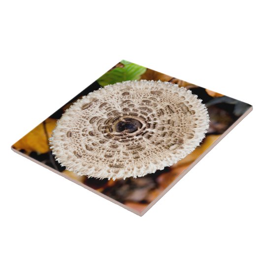 paddenstoel tegeltje (Zijkant)