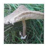  paddenstoel tegeltje (Voorkant)