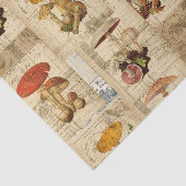 paddenstoel voor ontkoppeling tissuepapier (Detail)