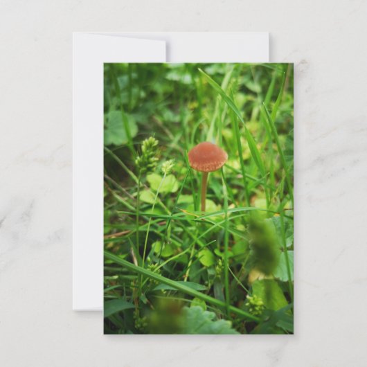 paddenstoel wenskaart kaart (Voorkant)