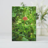 paddenstoel wenskaart kaart (Staand voorkant)