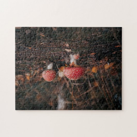 paddenstoelbos legpuzzel (Horizontaal)