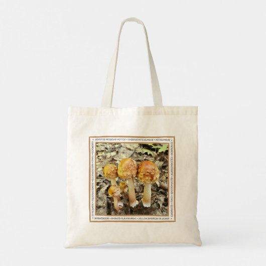 PaddenstoelCanvas tas (Achterkant)