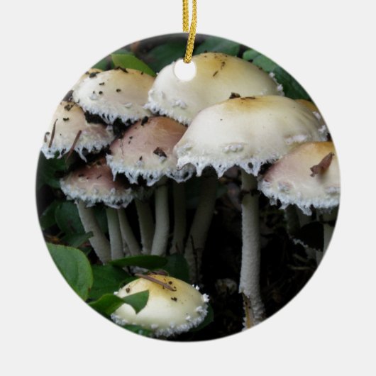 Paddenstoelcluster - Foto Keramisch Ornament (Voorkant)
