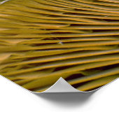 Paddenstoelcluster op een dode boom poster (Hoek)