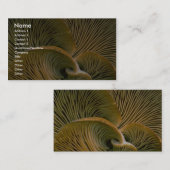 Paddenstoelcluster op een dode boom visitekaartje (Voorkant / Achterkant)