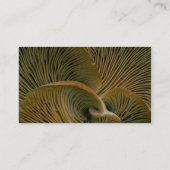 Paddenstoelcluster op een dode boom visitekaartje (Achterkant)