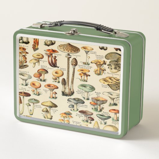 PaddenstoelCollectie (Voorkant)