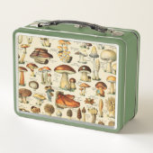 PaddenstoelCollectie (Achterkant)