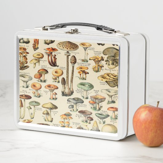 PaddenstoelCollectie (In situ)