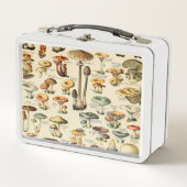 PaddenstoelCollectie (Voorkant)