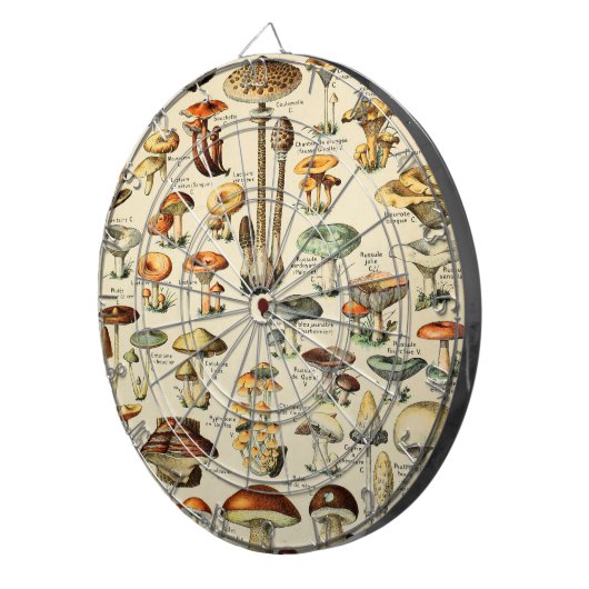 PaddenstoelCollectie Dartbord (Voorkant Rechts)