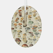 PaddenstoelCollectie Glas Ornament (Voorkant links)