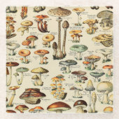 PaddenstoelCollectie Glazen Onderzetter (Voorkant)