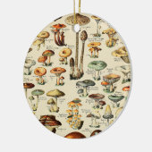 PaddenstoelCollectie Keramisch Ornament (Links)