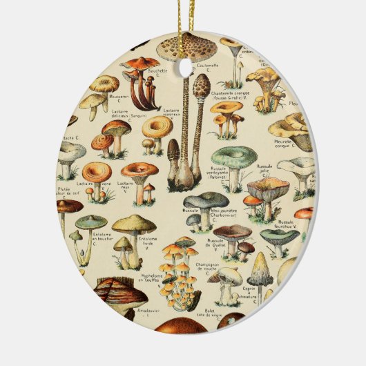 PaddenstoelCollectie Keramisch Ornament (Links)