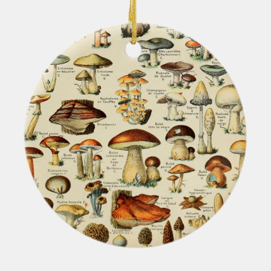 PaddenstoelCollectie Keramisch Ornament (Achterkant)