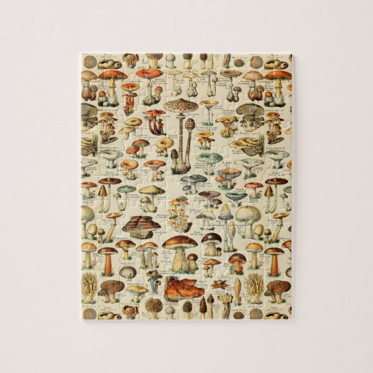 PaddenstoelCollectie Legpuzzel (Verticaal)