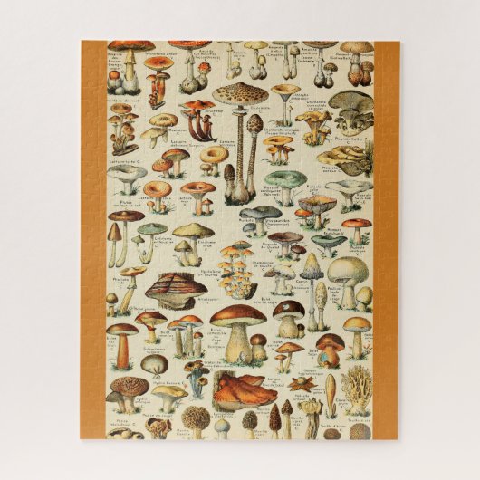 PaddenstoelCollectie Legpuzzel (Verticaal)