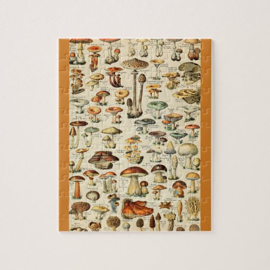 PaddenstoelCollectie Legpuzzel (Verticaal)