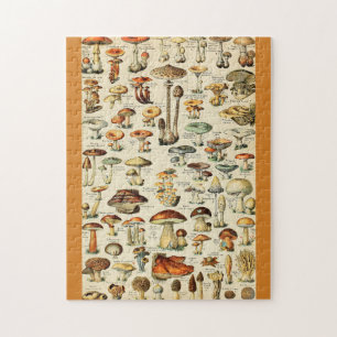 PaddenstoelCollectie Legpuzzel