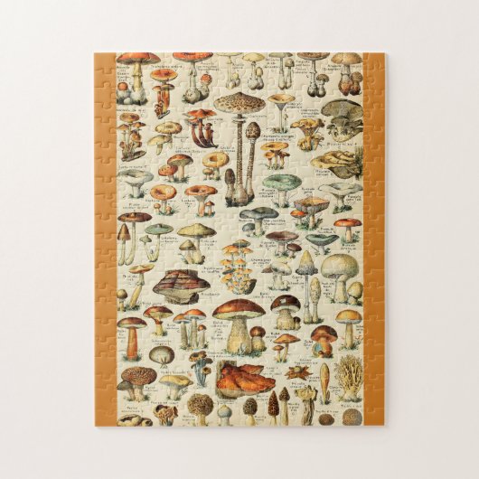 PaddenstoelCollectie Legpuzzel (Verticaal)