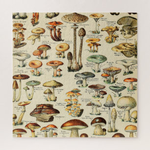 PaddenstoelCollectie Legpuzzel