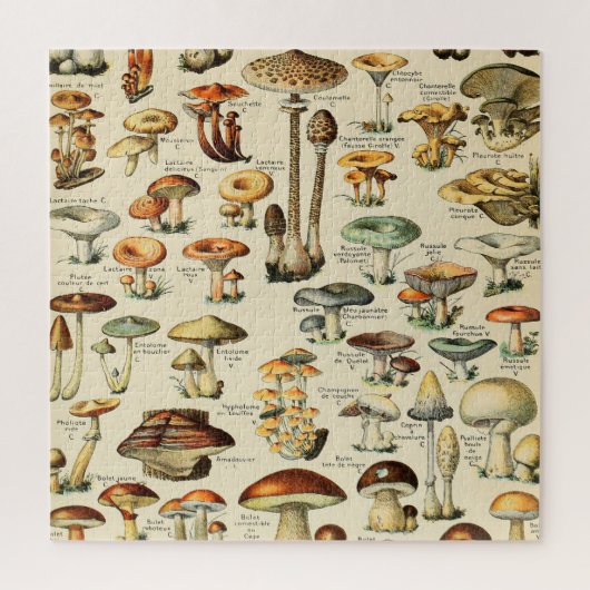 PaddenstoelCollectie Legpuzzel (Verticaal)