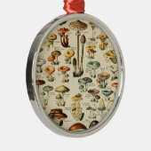 PaddenstoelCollectie Metalen Ornament (Rechts)