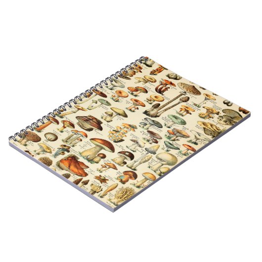 PaddenstoelCollectie Notitieboek (Linkerzijde)