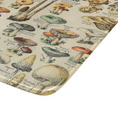 PaddenstoelCollectie    Snijplank (Hoek)