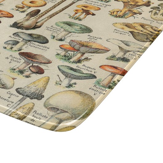 PaddenstoelCollectie    Snijplank (Hoek)