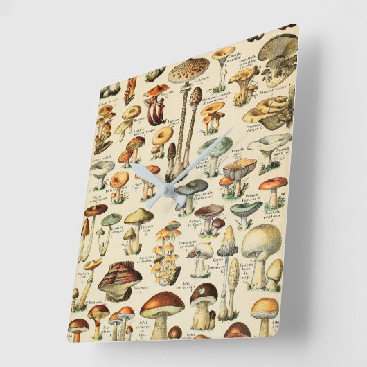 PaddenstoelCollectie Vierkante Klok (Hoek)