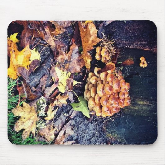 Paddenstoeldorp Muismat (Voorkant)