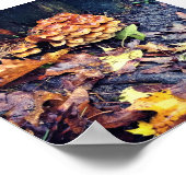 Paddenstoeldorp Poster (Hoek)