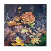 Paddenstoeldorp Tegeltje (Voorkant)