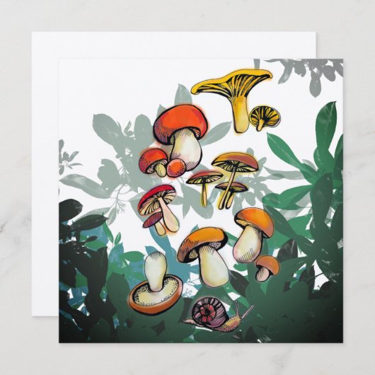 Paddenstoelen (Voorkant / Achterkant)